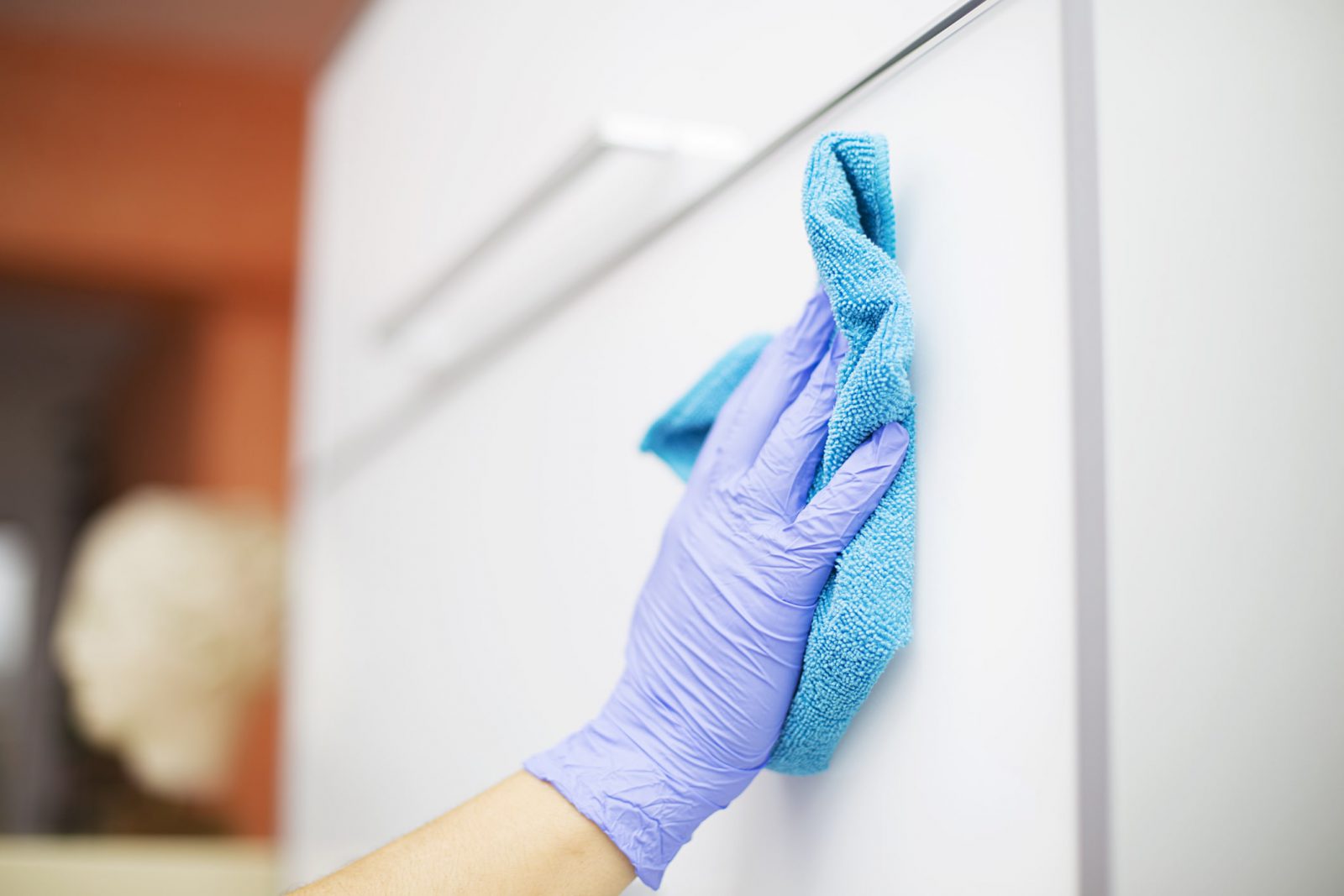 cleaning a fridge by cleaning services in Mount Prospect